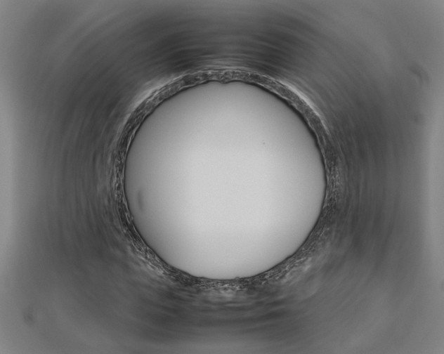 X0000112470823200908170948