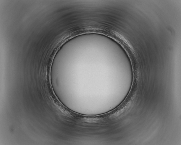 X0000112470825200908170948