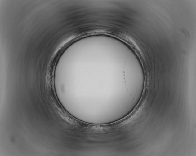 X0000112470827200908170949