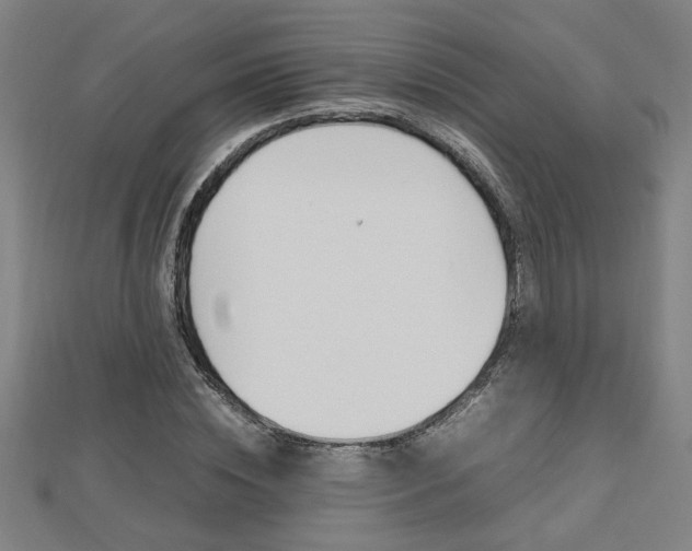 X0000112470828200908170949