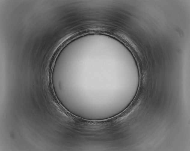 X0000112470829200908170949