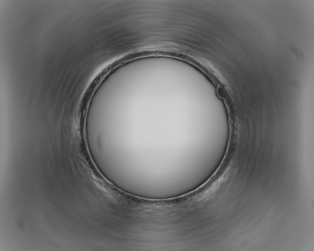 X0000112470830200908170949