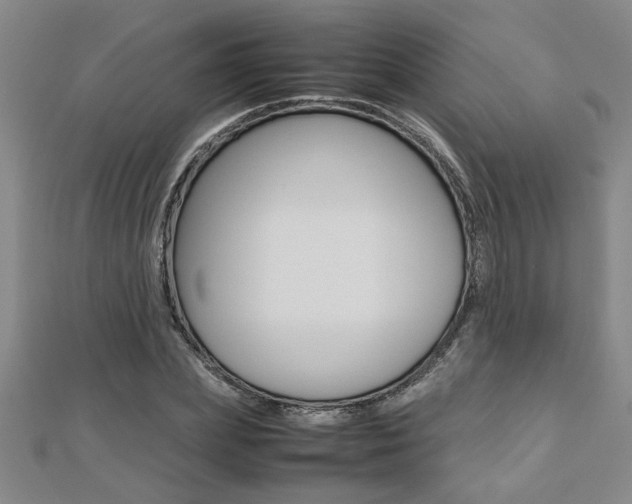 X0000112470831200908170949