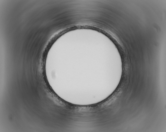 X0000112470832200908170949