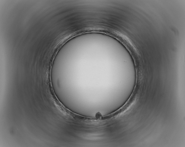 X0000112470833200908170949