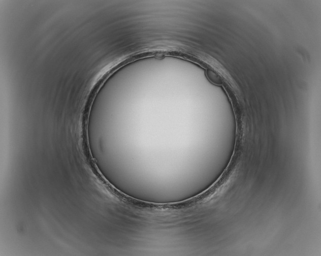 X0000112470834200908170949