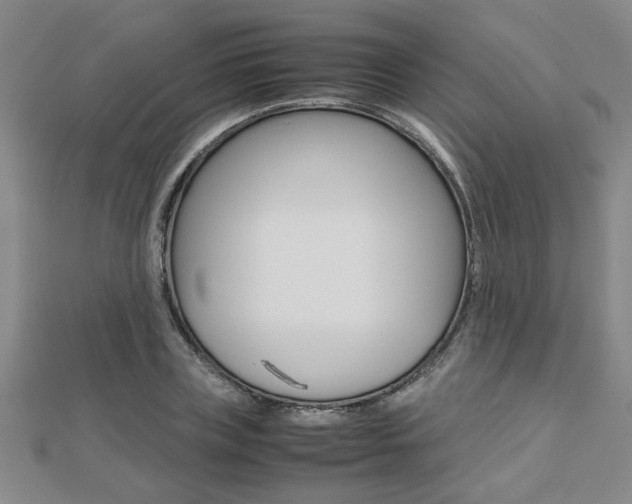 X0000112470835200908170949