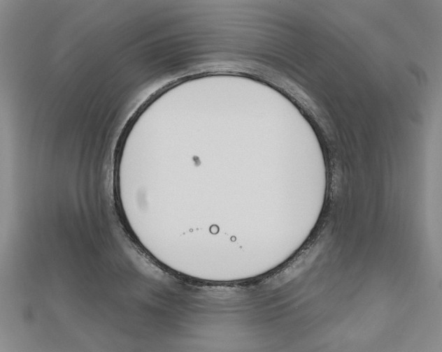X0000112470836200908170949