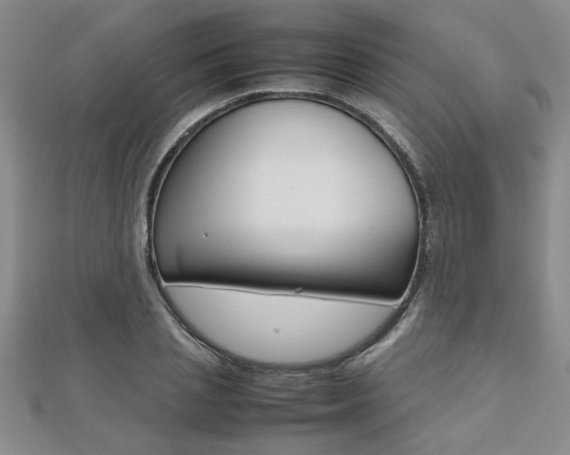 X0000112470837200908170949