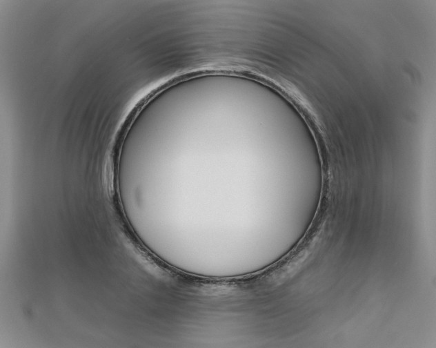 X0000112470838200908170949