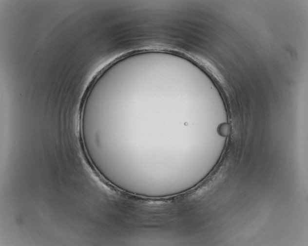 X0000112470839200908170949