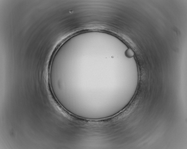 X0000112470840200908170949