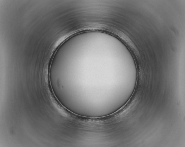 X0000112470842200908170949