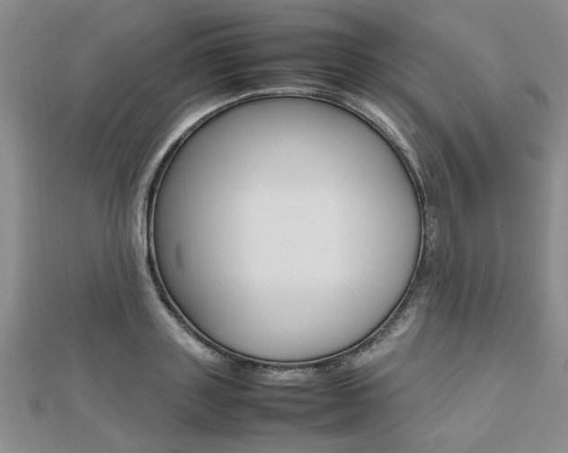 X0000112470843200908170949