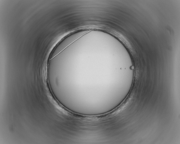 X0000112470844200908170949