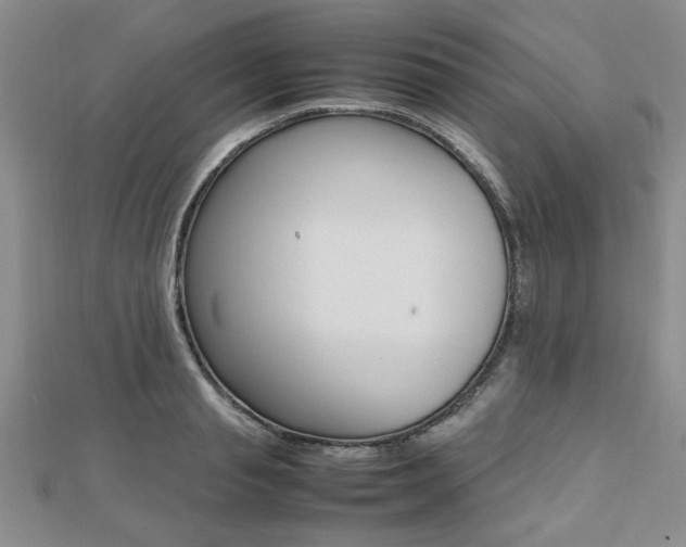 X0000112470845200908170949