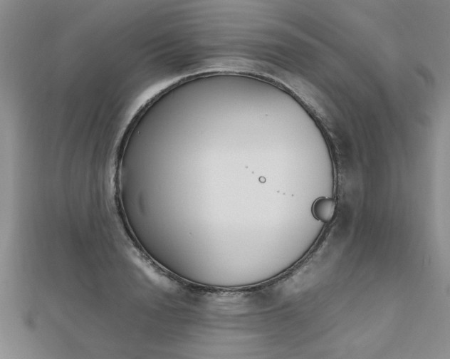 X0000112470846200908170949