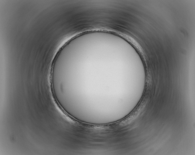 X0000112470847200908170949