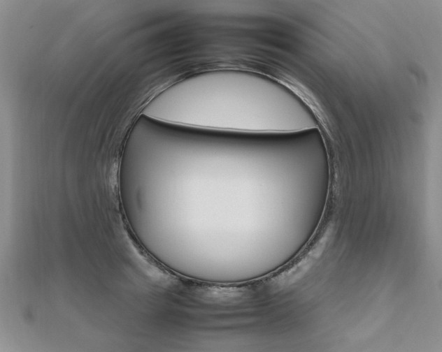 X0000112470849200908170949