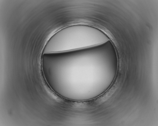 X0000112470850200908170949