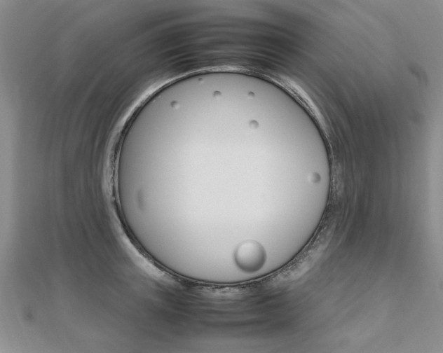 X0000112470851200908170949