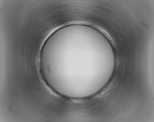 X0000112470852200908170949