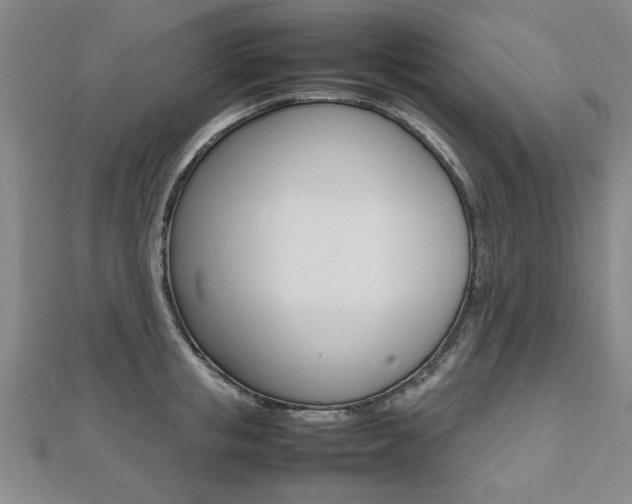 X0000112470853200908170949