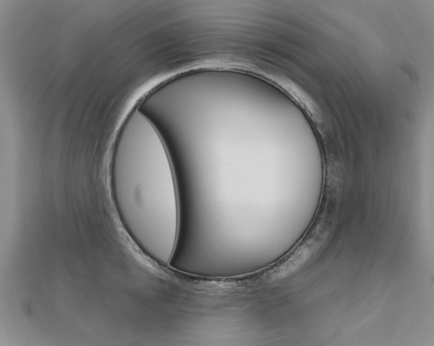 X0000112470854200908170949