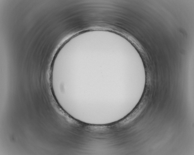 X0000112470856200908170949