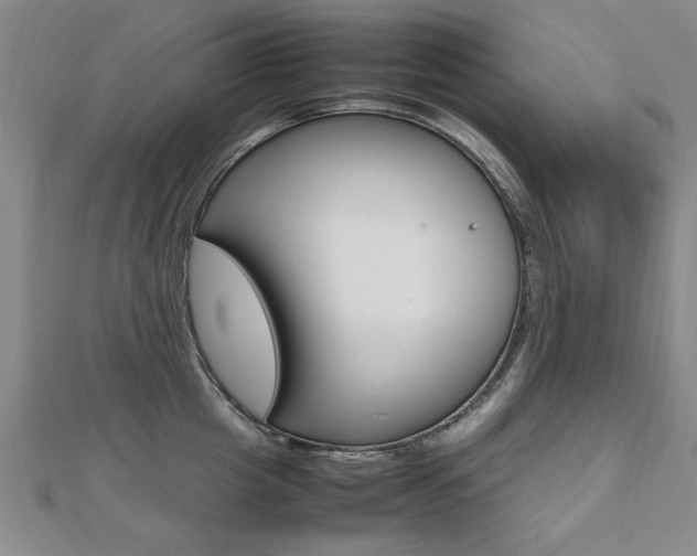 X0000112470857200908170949