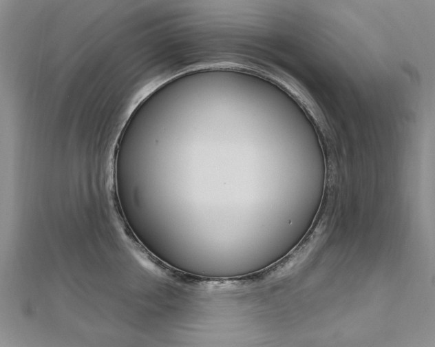 X0000112470858200908170949