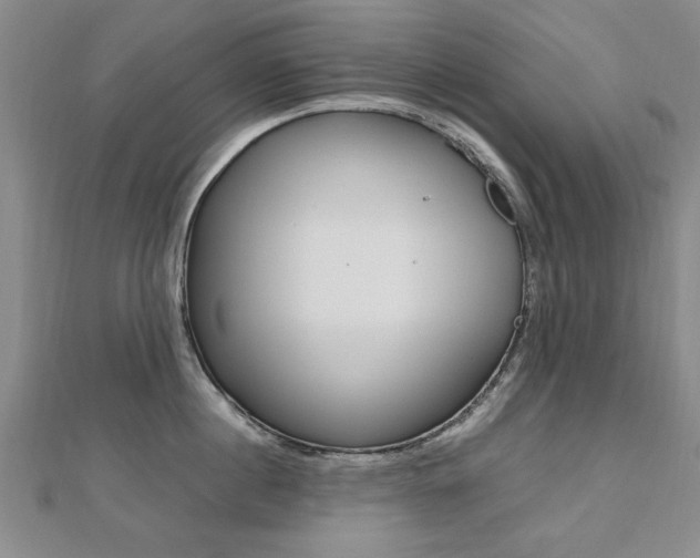 X0000112470860200908170949
