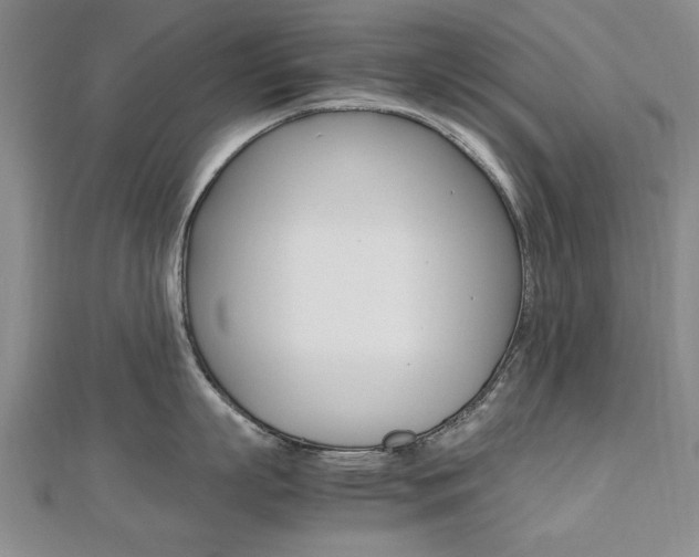 X0000112470863200908170949