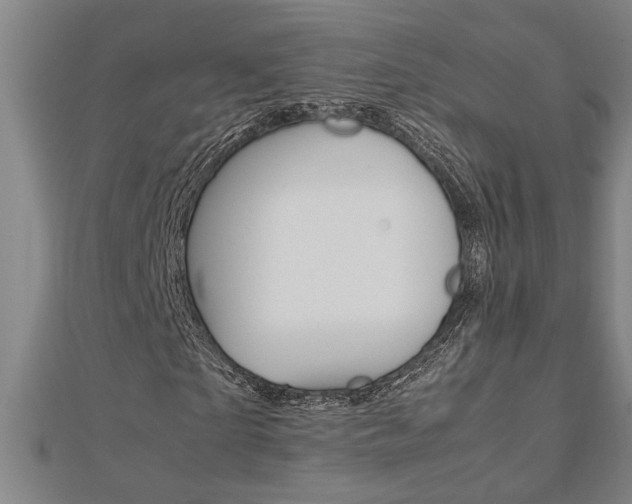 X0000112470865200908170948
