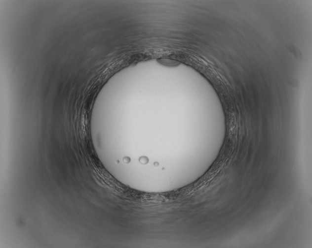 X0000112470866200908170948