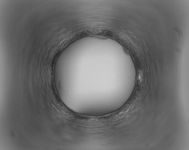 X0000112470867200908170948