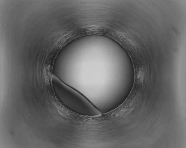 X0000112470868200908170948