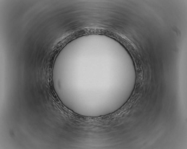 X0000112470870200908170948