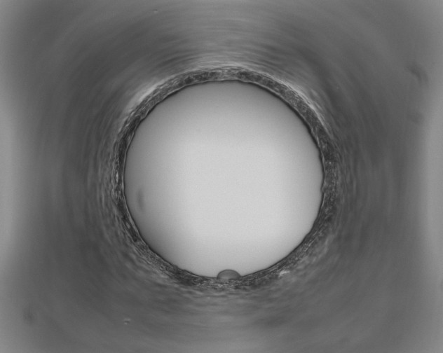 X0000112470871200908170948