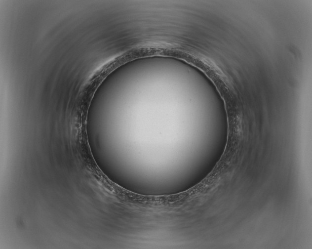 X0000112470872200908170948