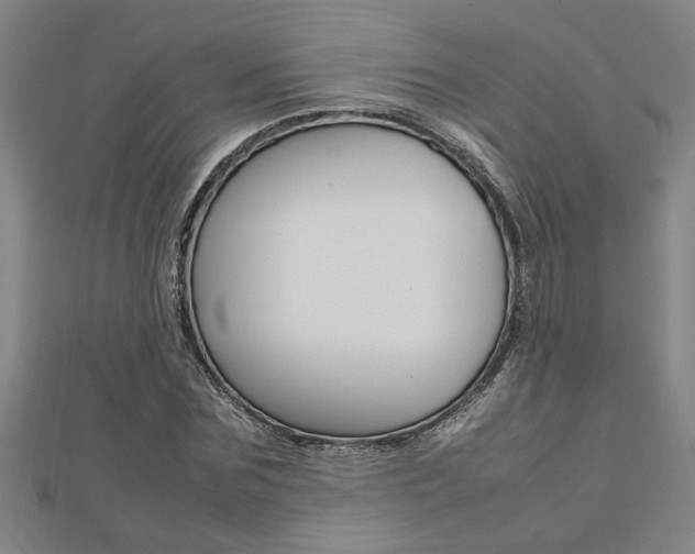 X0000112470875200908170948
