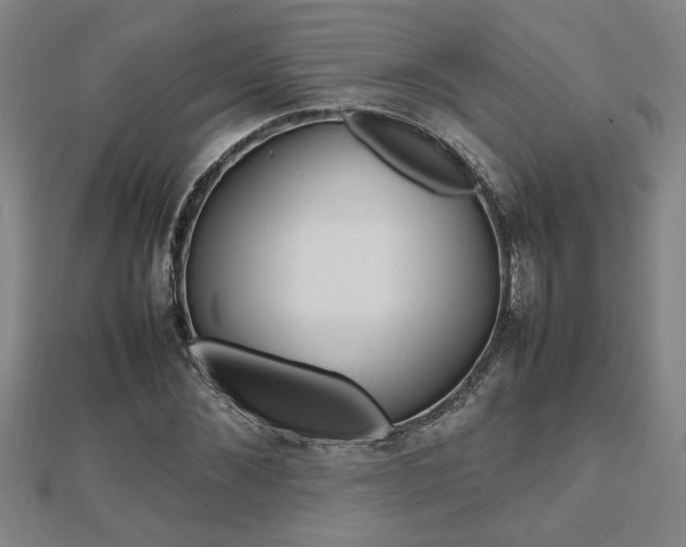 X0000112470876200908170948