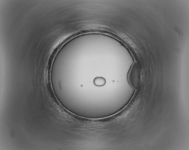 X0000112470877200908170948