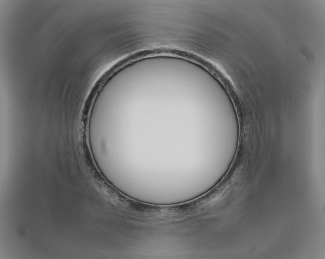 X0000112470879200908170948