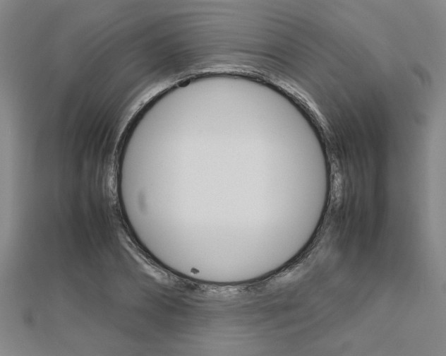 X0000112470882200908170948