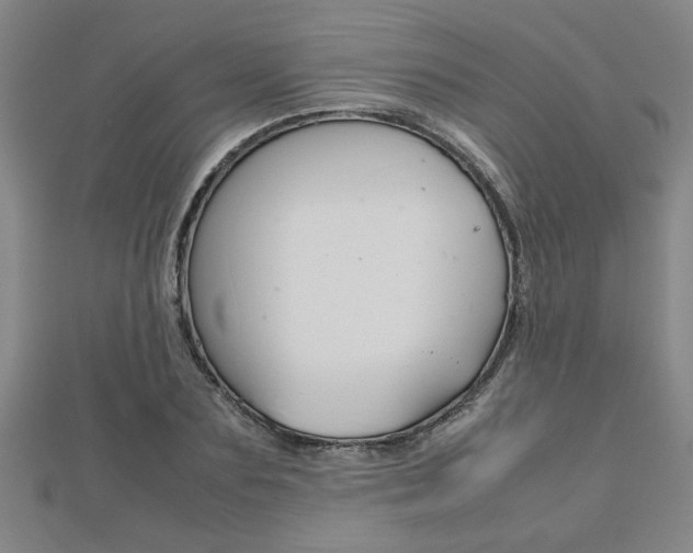 X0000112470883200908170948
