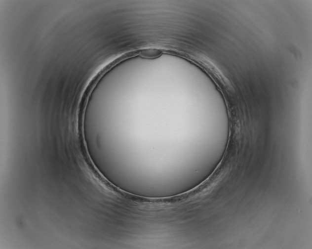 X0000112470884200908170948