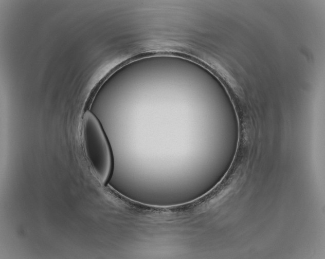 X0000112470885200908170948