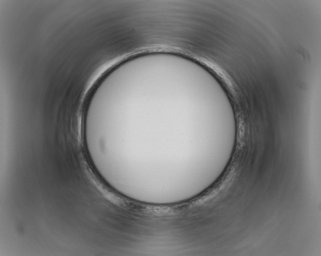 X0000112470886200908170948