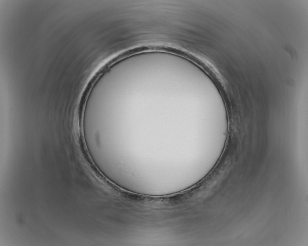 X0000112470887200908170948